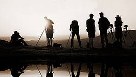 Bild der Motivfänger