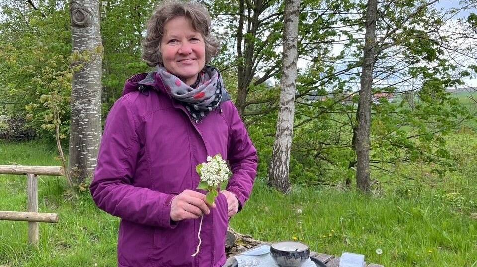 Exkursion Frühjahrskur mit Wildkräutern